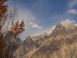 Paquistão - Montanhas coníferas
