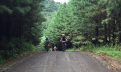 Fotos de Renato Neves - Palmas/TO
