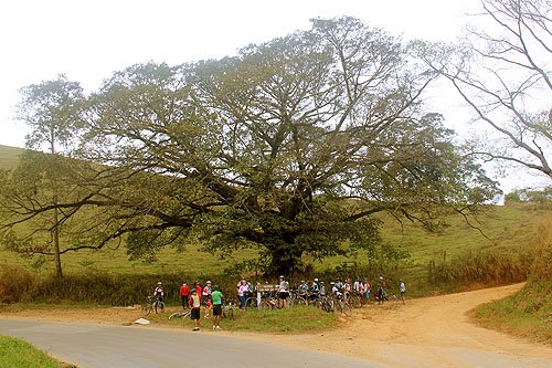 Bike Luz 2013