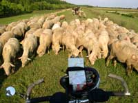 Congestionamento na pista Congestionamento na pista