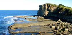 Terrigal