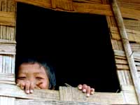 Janela de bambu