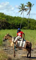 Transporte de água