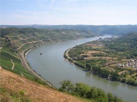 o rio Reno e os vinhedos à esquerda
