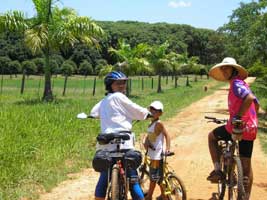 No fundo da foto o pomar de jabuticabeiras com o ciclista Rodrigo