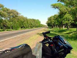 Ruta 7