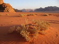 Deserto de Wadi Rum