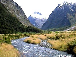 Milford Road