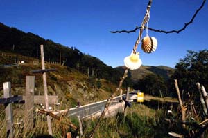 Vieira o principal símbolo do peregrino - Alto de Ilbañeta. Roncesvalles - Pirineus