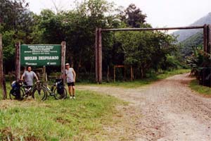 Estrada do Despraiado (Estação Ecológica Juréia-Itatins)