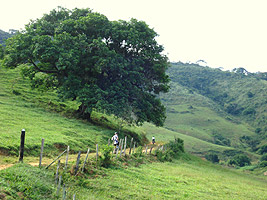 Estradinhas estreitas no interior de fazendas