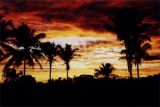 Projeto Pantanal vai à Praia: Praia do Forte (BA) a Maceió (AL)