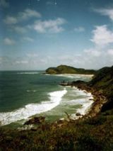 Ecossistemas Brasileiros: Florianópolis(SC) - Ubatuba(SP)