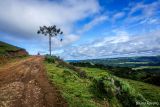 Serra e Mar - uma viagem pelo sul do Brasil e litoral uruguaio